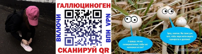 как найти закладки  Городовиковск  Галлюциногенные грибы GOLDEN TEACHER 