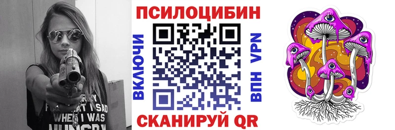 Псилоцибиновые грибы Cubensis Городовиковск